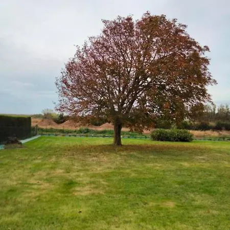 Ferienhaus Maison Accueillante A Petit-caux Avec Jardin *